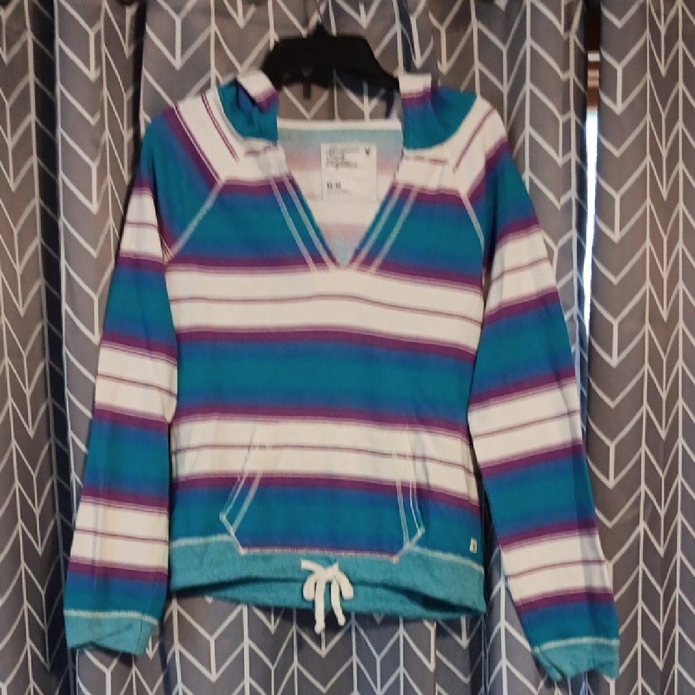 American Eagle Outfitters Blue and Purple Striped Hoodie